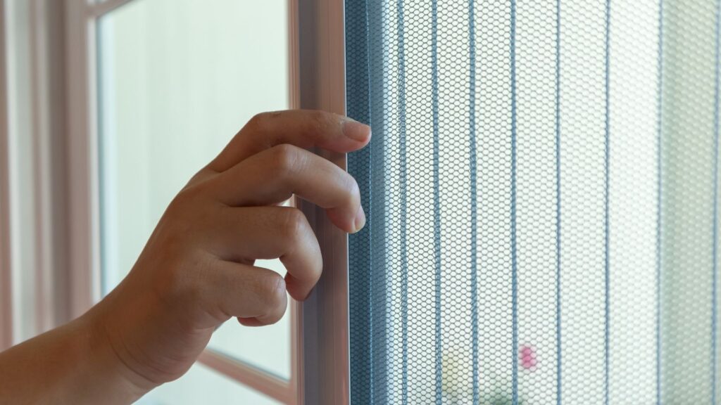 ile kosztuje moskitiera